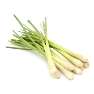 https://ucan-cannabis.ca/wp-content/uploads/2022/02/Lemongrass2.jpg