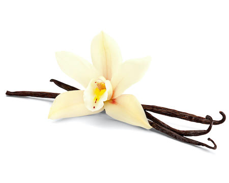 Vanilla beans with flower isolated on white background