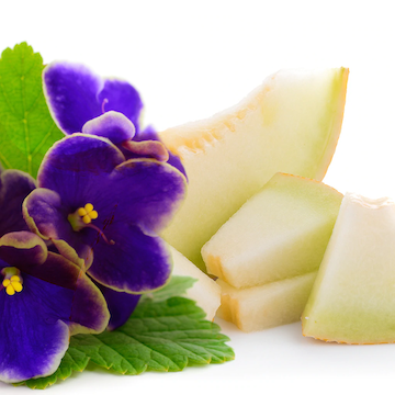 https://ucan-cannabis.ca/wp-content/uploads/2022/02/Meg-whmelon.png
